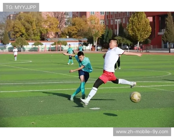 绿茵逐梦青春燃激情世界足球风云再起辉煌征程