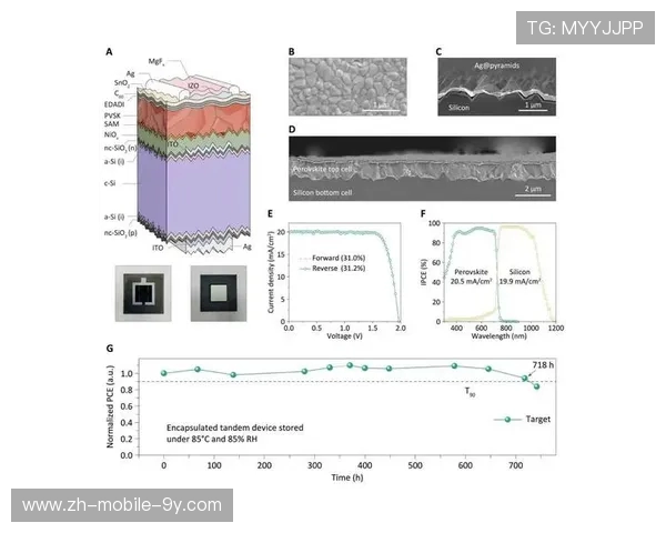 南京极限运动队的区域防守策略与热点分析探讨