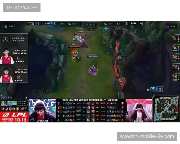 王者荣耀深度解析：LNG战队如何通过团队协作赢得比赛胜利