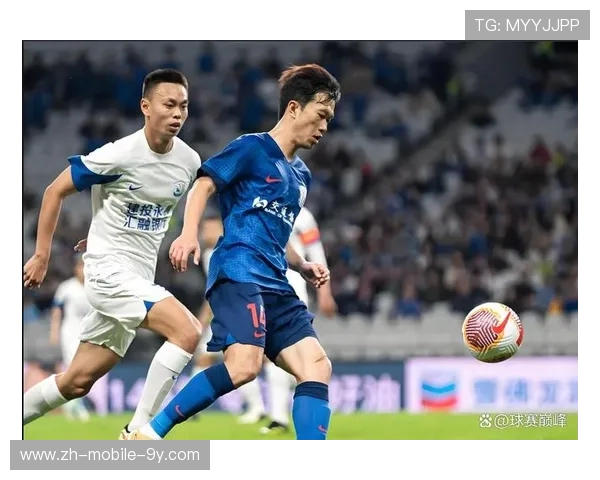 2012赛季中超经典对决申花与鲁能的巅峰对抗回顾