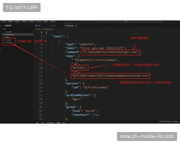 在VS代码中如何设置输入次数限制以提高编程效率和准确性